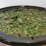 Infusing Kawakawa in Sweet Almond Oil